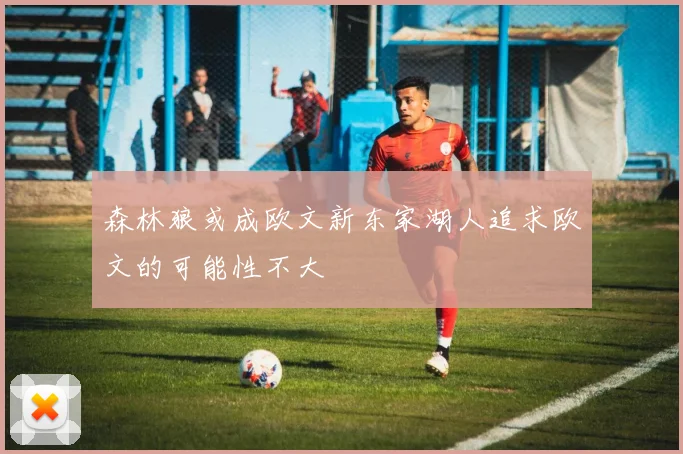 森林狼或成欧文新东家湖人追求欧文的可能性不大