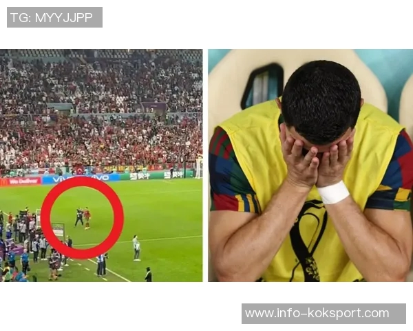 贡萨洛拉莫斯谈葡萄牙球队实力与个人发展期望 贡萨洛拉莫斯谈葡萄牙球队实力与个人发展期望